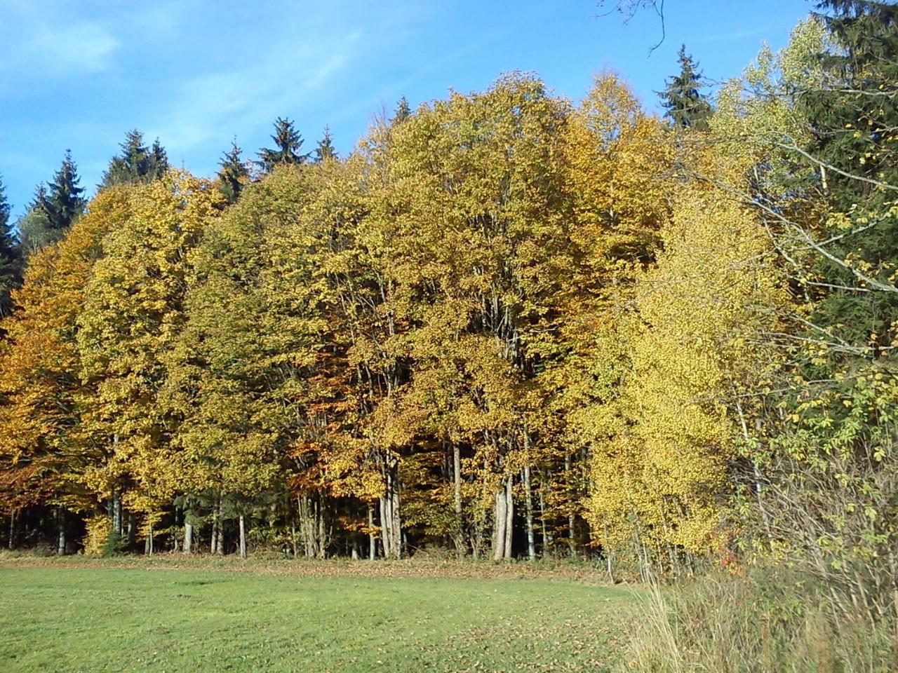 Ferienwohnungen Grill Schönberg 外观 照片